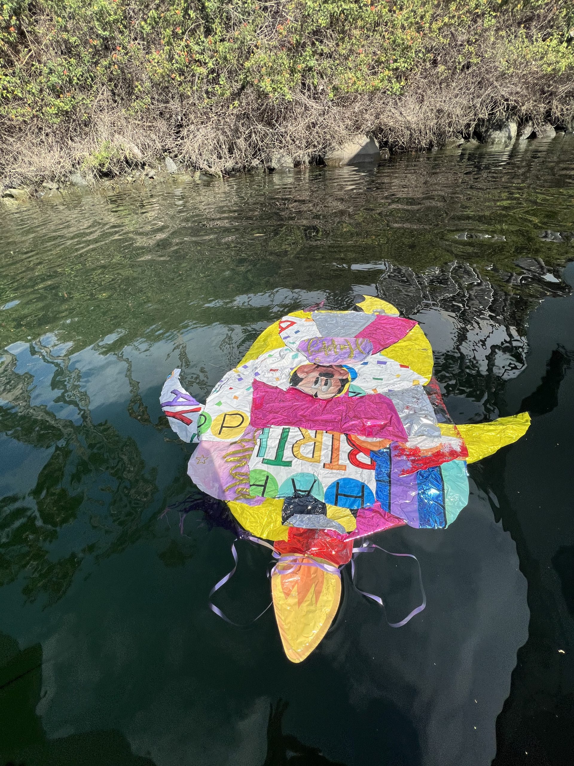 A mylar balloon and other trash pulled from the ocean during an Adventure Whale Watching tour